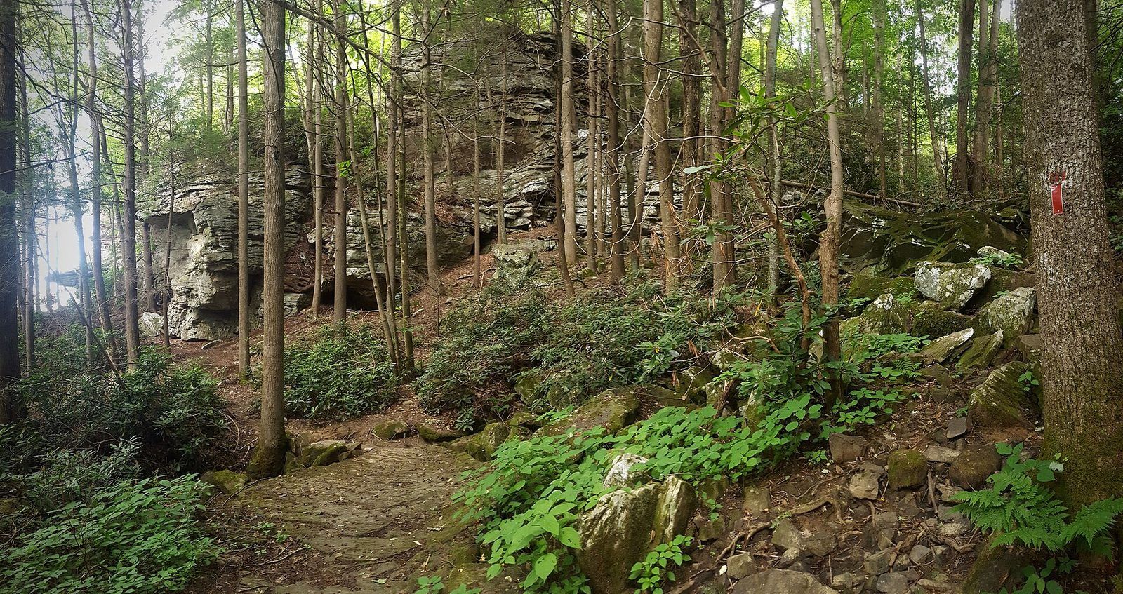 Forest trail at Breaks Interstate Park